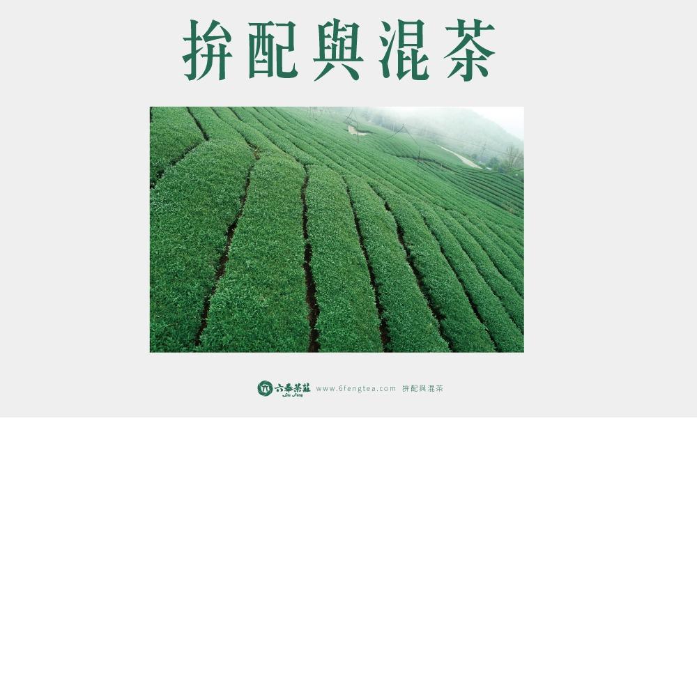 六奉茶學#022-混茶怎麼分辨？台灣茶混越南茶？了解拚配與混茶的差異