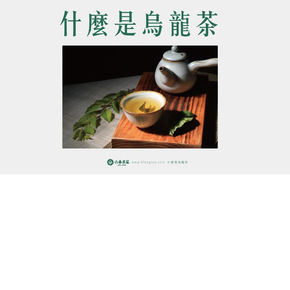 六奉茶學#026-什麼是烏龍茶？