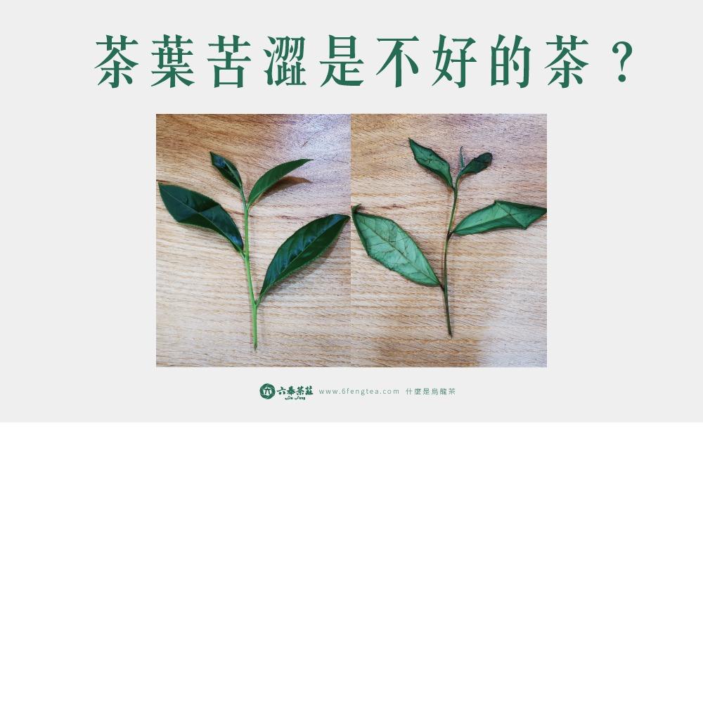 六奉茶學#027-茶葉喝起來苦澀是不好的茶嗎？ 茶葉苦澀的原因一次看完~