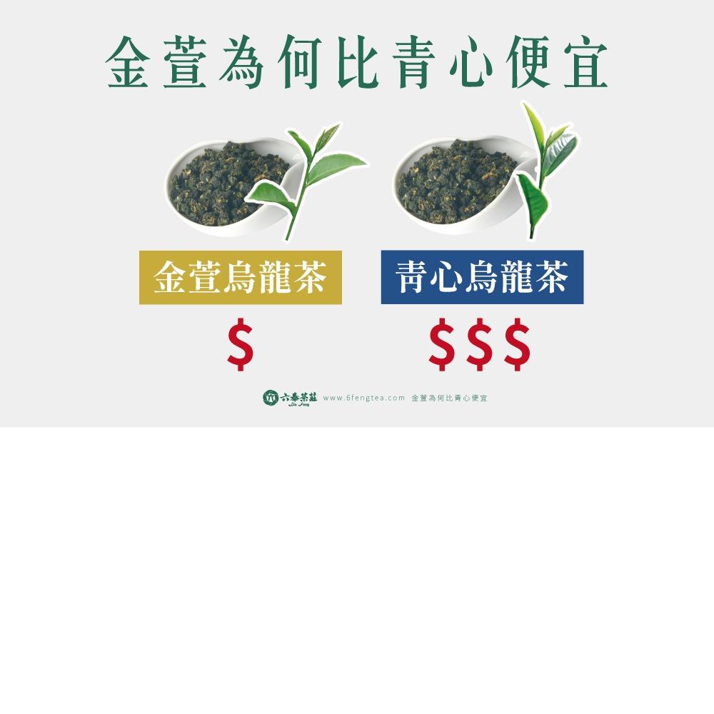 六奉茶學#028-金萱烏龍茶為何比青心烏龍茶還便宜！？ 金萱品種萬般好，可惜沒有這個特性