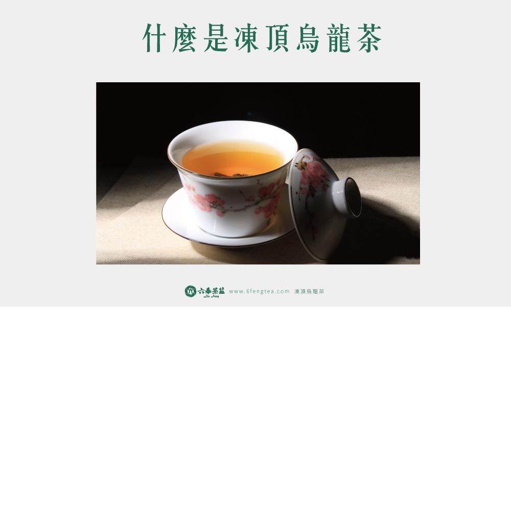 六奉茶學#034-什麼是凍頂烏龍茶？是什麼茶要價30萬一斤！？