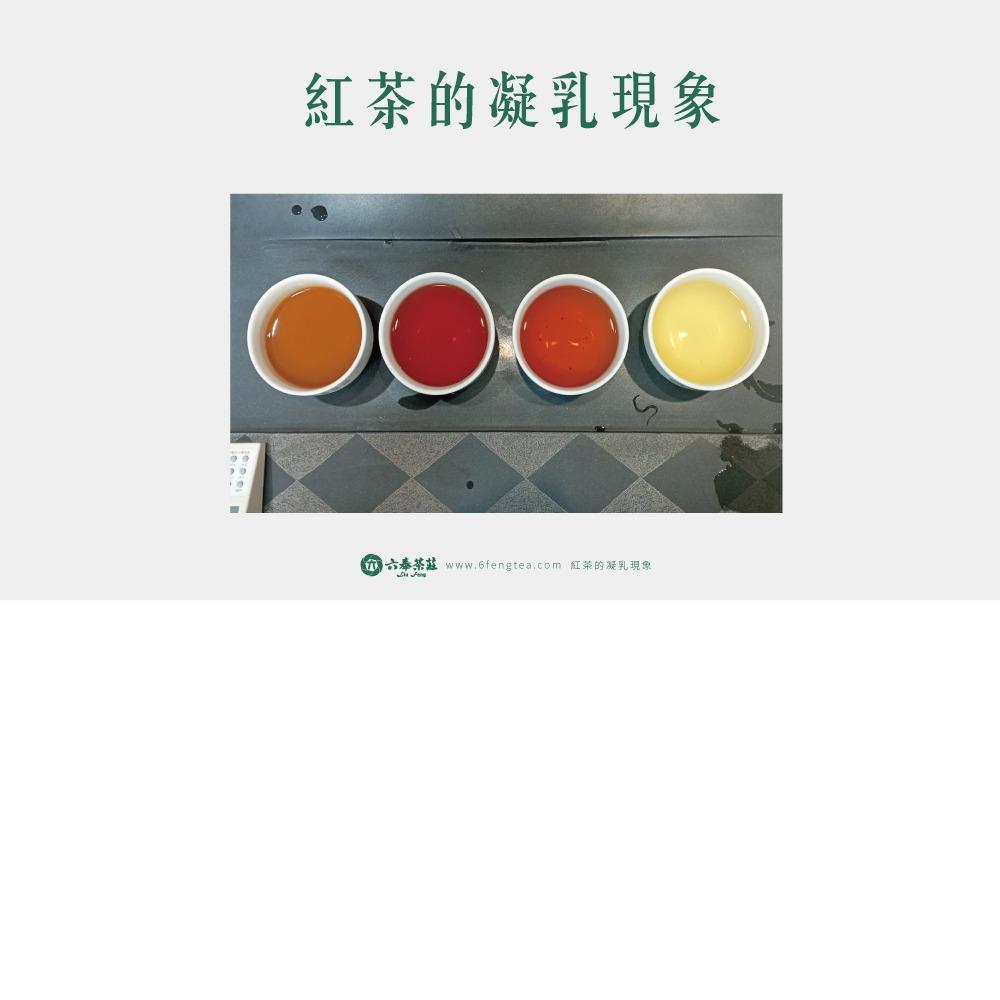 六奉茶學#040-我的紅茶怎麼變混濁了？！凝乳現象直接實驗給大家看！