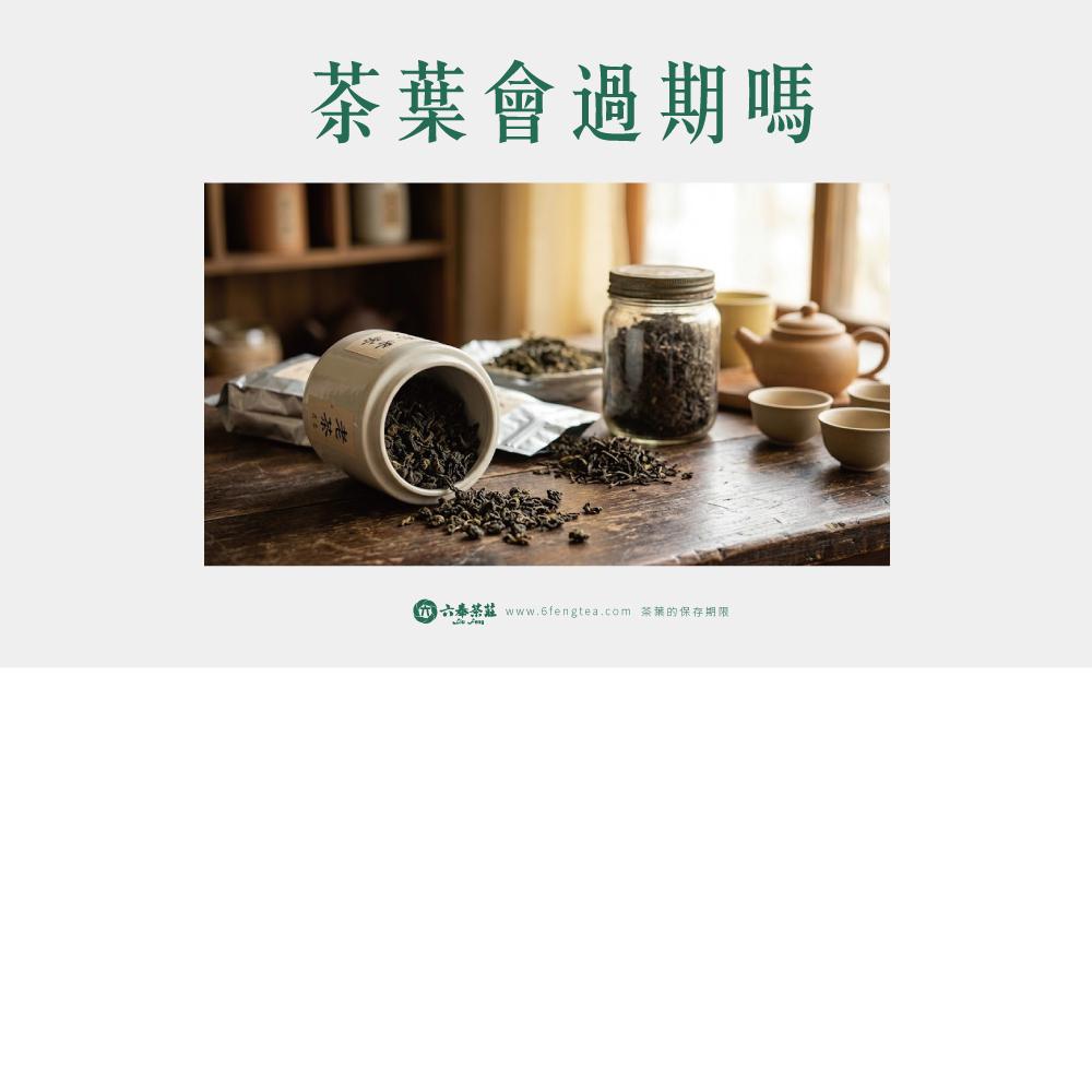 六奉茶學#044-茶葉會過期嗎？品茶師來分享各茶類的保存期限！