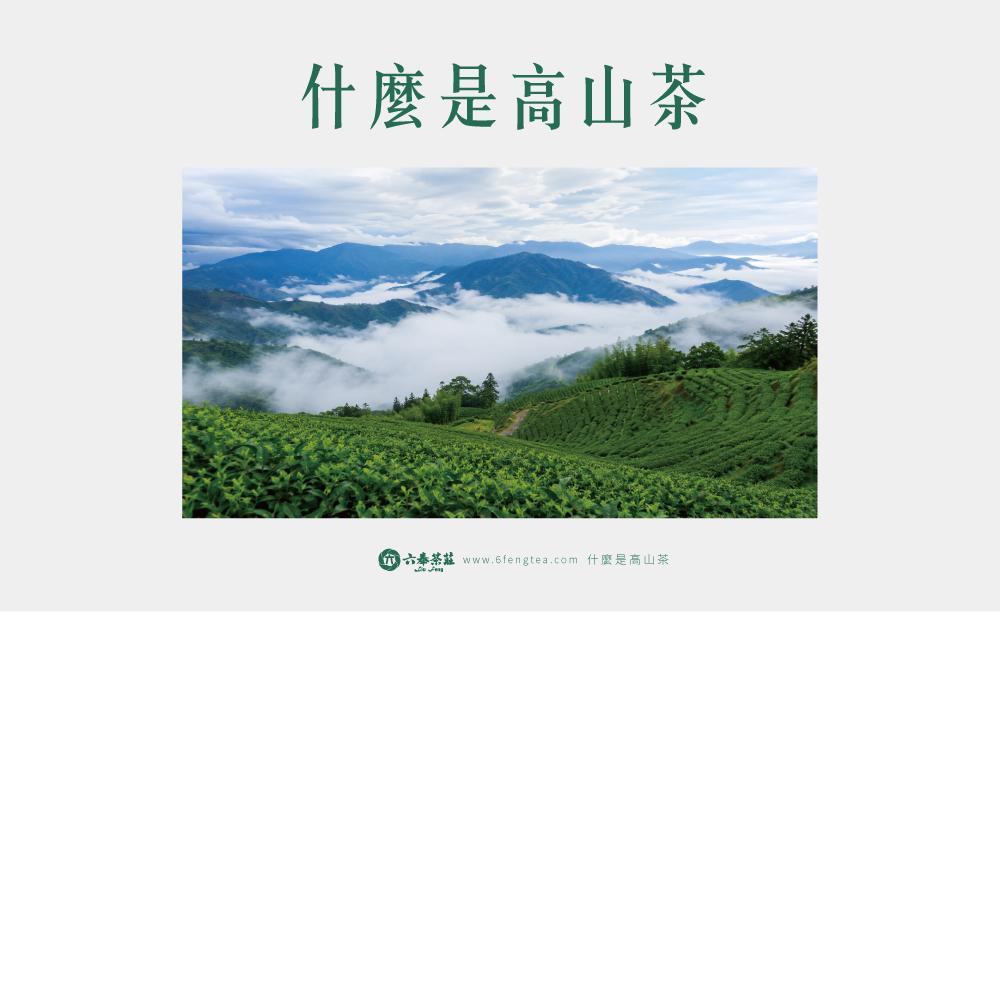 六奉茶學#045-高山茶是什麼茶？雲霧茶？高冷茶？雪山茶？品茶師來分享市場上常見的茶款~