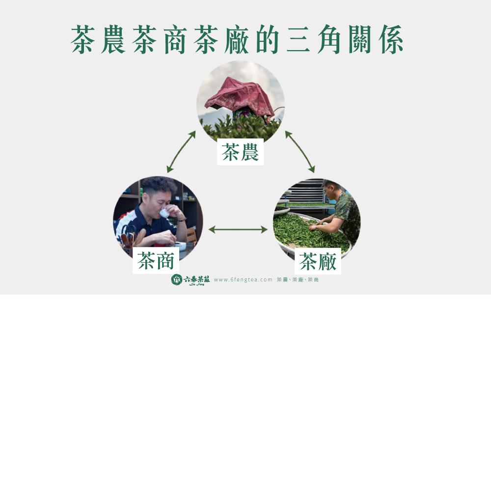 六奉茶學#049-今天就來打破這個迷思!直接到產地購買就一定是好茶嗎?品茶師來分享茶農、茶廠、茶商的合作關係!