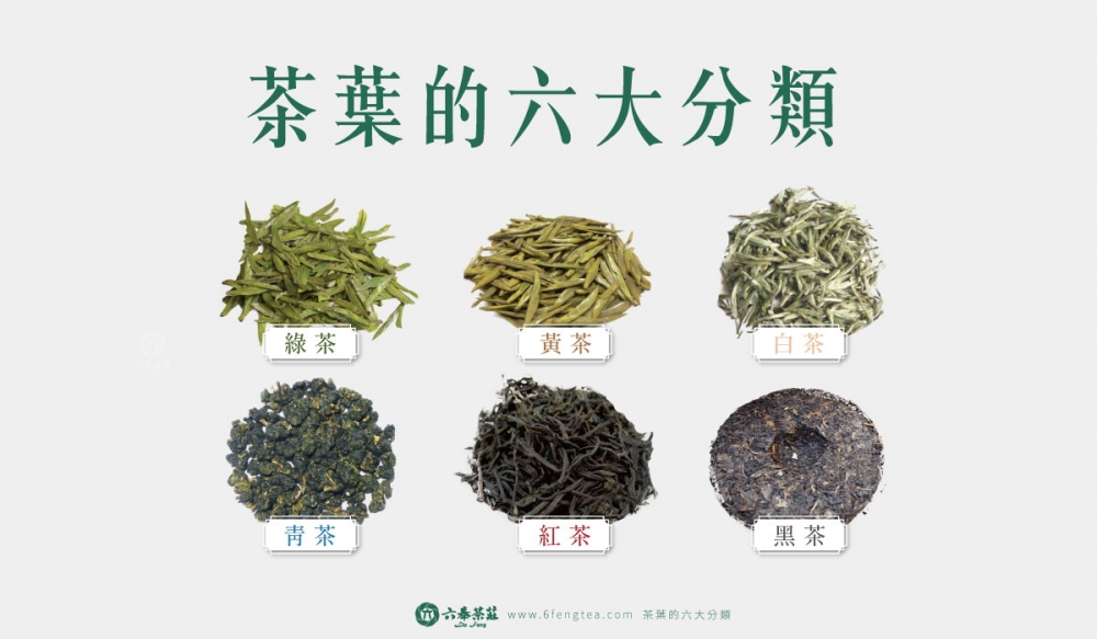 六奉茶學#001-認識茶葉的基本六大分類-一次搞懂綠茶、青茶、紅茶